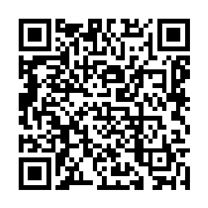 而原本的赌局也迅速从定王府蔓延到了整个汝阳城二维码生成