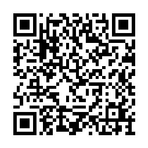 而去是越毒的沼泽内孕育出来的仙洁花药效越强二维码生成