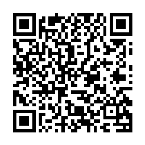 而又不能影响到她的大肚皮层内那密密麻麻的神经线二维码生成