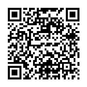 而又在后人一代代开垦争杀中肥沃起来……曾经辉煌的历史不见二维码生成