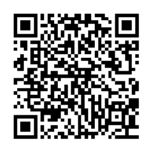 而反复说错话还被抽了一下的柔钛则是委屈连连的摸不着头脑二维码生成
