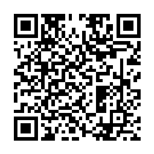 而古典音乐乐团的成员们一个个穿着正式无比的燕尾服二维码生成