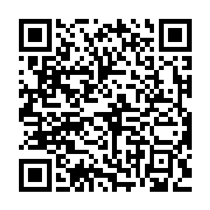 而古前辈这次也正是为了此事而来……不知道风兄……呵呵……二维码生成