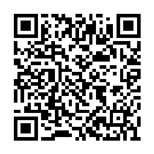 而另一名拥有中级圣师实力的佣兵也来不及救援二维码生成