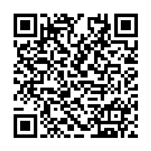 而另外一个包装之中所装的东西却并没有那么多了二维码生成