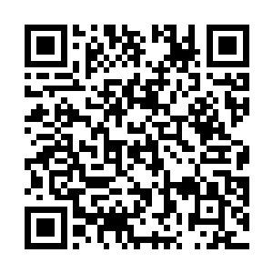 而另外一边寒冰老祖的眼中也是闪过了一丝挣扎的神情二维码生成
