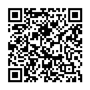 而另外那六个眼睛周围的明点是否还对应着更加神奇的视觉能力二维码生成