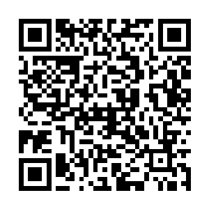 而另外那名保镖也被洛水兮同样略施手段给打发了二维码生成