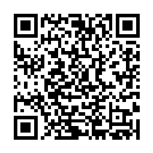 而只是一个与自己同样分享了一半血脉的陌生人而已二维码生成