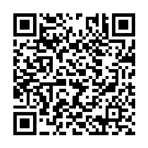 而只要看见他一招不漏地演练完他所教的招式之后二维码生成