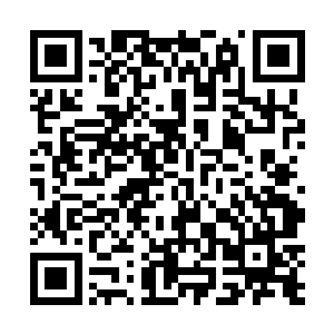 而只要能够成为绝世仙王便是可以在这里拥有一个位置二维码生成