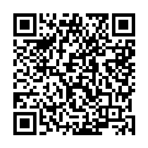 而只要这功力的力量不超过脸黑色莲花承受力的一倍以上二维码生成