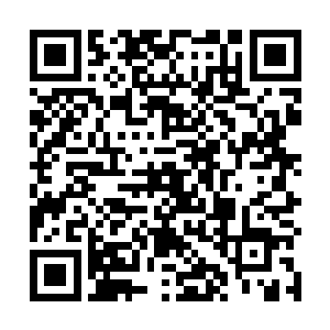 而叶凡此时却是做出了一个能够让全场彻底疯狂的举动二维码生成