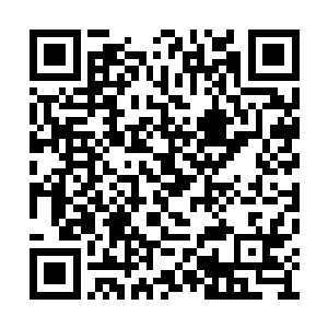 而司马十七郎和卢八娘都敏锐地猜到他要出海了二维码生成