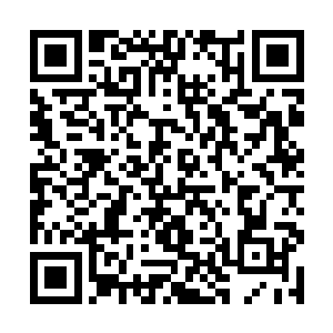 而同一时间里面得到的蔚蓝药剂早就被他配置了出来二维码生成