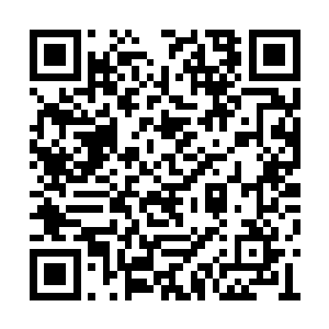 而同入围的几人的确没有什么能和他抗衡的存在二维码生成