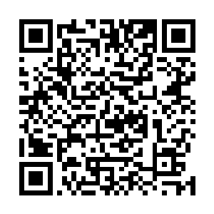 而同时一道如鬼魅的身影已然出现在了这青光神念的身后二维码生成