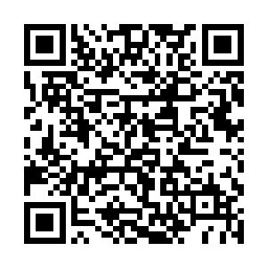 而同时地下龙骨的反应带给他们内心从来没有的恐怖二维码生成