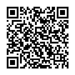 而同样听了张东城话的动作指导斯蒂芬却是喜笑颜开二维码生成