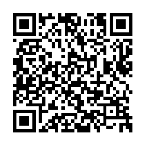 而同样脸上露出喜色的还有镇海楼上的那些老者二维码生成