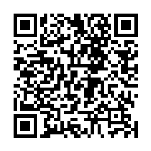 而同行的其他人立刻就被这边市政厅召集的警察团团围住二维码生成