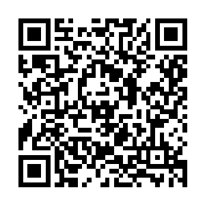 而名字叫做白鲨帮的这群人却充其量也就是一堆小虾米二维码生成