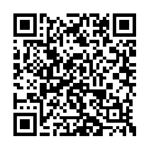 而后一个男子手里拿着一公文袋来到了他们跟前二维码生成