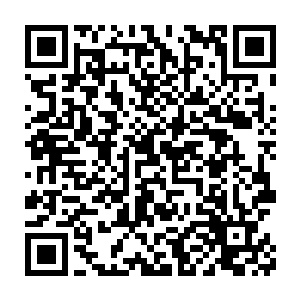 而后两团若有似无的红色缓缓地自他风情万种的容颜之上缓缓扩散二维码生成