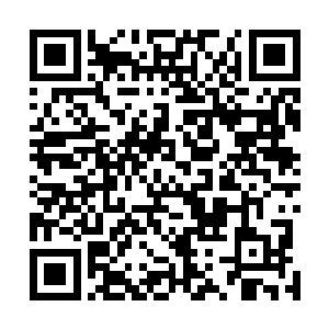 而后二十个拳头大的晶莹小罐咻的就飞到那些冰泉的上方二维码生成