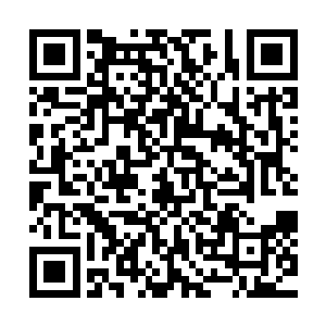 而后二皇子三皇子四皇子都因为这或那的事情被别人一一揭发二维码生成