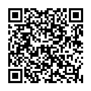 而后仿佛是因为夜幕降临而放出的妖魔在人的心里滋生二维码生成
