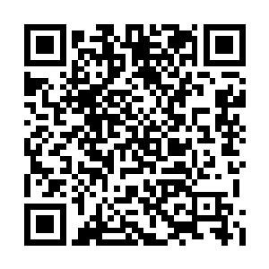 而后借助剑神殿分殿的星空之门进行跨星系传送二维码生成