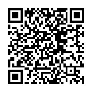 而后却是被流墨墨太过惊异凝固的严肃模样惊了一下二维码生成