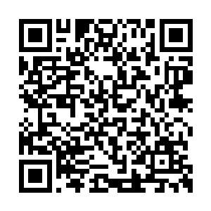 而后只凉嗖嗖的看向神色已经淡定下来的琴瑟色二维码生成