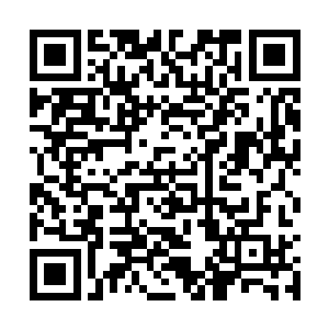 而后只见一道黑色身影猛然从远处白色宫殿爆射而来~二维码生成