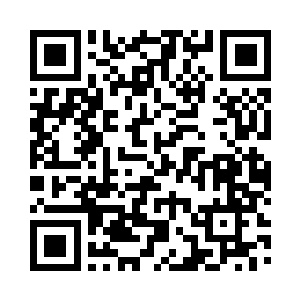 而后在一瞬间这些岩浆之龟就合为一体二维码生成