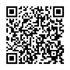 而后来孙子轩用双手刺入的玉针针尾上的金光较强二维码生成