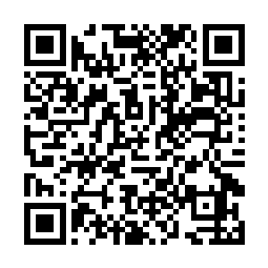 而后来投奔第五小队的那两个小队的修士也略有怨言二维码生成