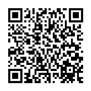 而后梓箐将这些材料按照一定顺序和数量一一打入相应的节点二维码生成
