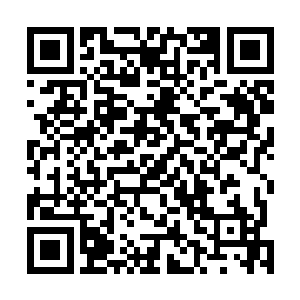 而后流墨墨就控制着树心飞向了大陆中央的那片连绵山峦二维码生成