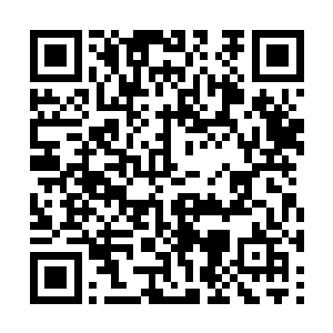 而后瑕疵欲裂的抬起双手想要拔出身后的金色木剑二维码生成