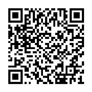 而后自己一个又遇见几个想抢夺自己灵牌的家伙二维码生成