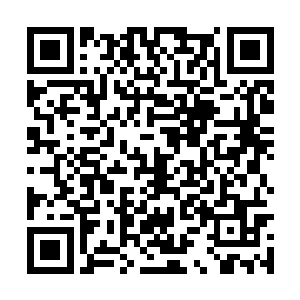 而后那原本释放而出的气息竟在此刻渐渐收了起来二维码生成