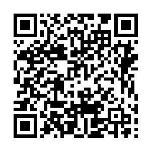 而后面则是一堆僵尸在疯狂地嘶吼声当中追击过来二维码生成