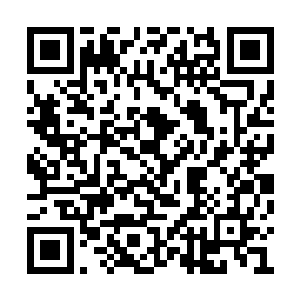 而后面跟着而来的骆青姑和尹逸桦也催促了起来二维码生成