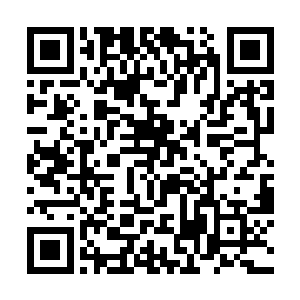 而吓坏了的十两根本不知道迎接她的是怎样一种恐怖二维码生成