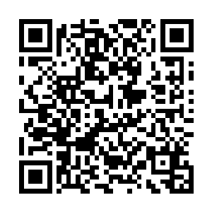 而君主阁给予我们最大的好处就是缩在君主阁里面保全性命二维码生成