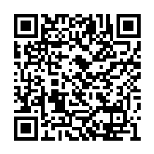 而周围那些侥幸没有中毒的人再度如同见鬼一般二维码生成