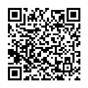 而周身上下都雕刻了紫色的巫蛮符文强化它的鳞甲二维码生成