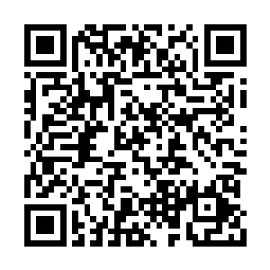 而和他一起参与打架的公子哥们皇帝则没心情管二维码生成